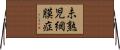 未熟児網膜症 Horizontal Wall Scroll