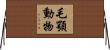 毛顎動物 Horizontal Wall Scroll