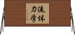 流体力学 Horizontal Wall Scroll