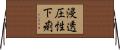 浸透圧性下痢 Horizontal Wall Scroll