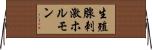 生殖腺刺激ホルモン Horizontal Wall Scroll