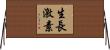 生長激素 Horizontal Wall Scroll