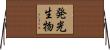 発光生物 Horizontal Wall Scroll