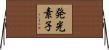 発光素子 Horizontal Wall Scroll