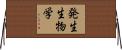 発生生物学 Horizontal Wall Scroll