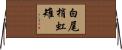 白尾梢虹雉 Horizontal Wall Scroll