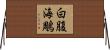 白腹海鵰 Horizontal Wall Scroll
