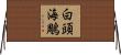 白頭海鵰 Horizontal Wall Scroll