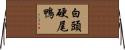 白頭硬尾鴨 Horizontal Wall Scroll