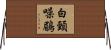 白頸噪鶥 Horizontal Wall Scroll