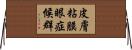 皮膚粘膜眼症候群 Horizontal Wall Scroll