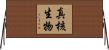 真核生物 Horizontal Wall Scroll
