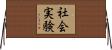 社会実験 Horizontal Wall Scroll