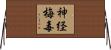 神経梅毒 Horizontal Wall Scroll