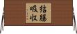 結腸吸収 Horizontal Wall Scroll