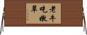老牛吃嫩草 Horizontal Wall Scroll