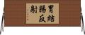 胃結腸反射 Horizontal Wall Scroll