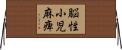 脳性小児麻痺 Horizontal Wall Scroll