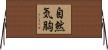 自然気胸 Horizontal Wall Scroll