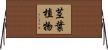 茎葉植物 Horizontal Wall Scroll