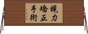 視力矯正手術 Horizontal Wall Scroll