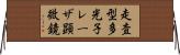 走査型多光子レーザ顕微鏡 Horizontal Wall Scroll