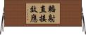 輻射直接效應 Horizontal Wall Scroll