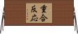 重合反応 Horizontal Wall Scroll