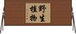 野生植物 Horizontal Wall Scroll