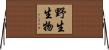野生生物 Horizontal Wall Scroll