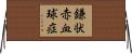 鎌状赤血球症 Horizontal Wall Scroll