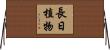 長日植物 Horizontal Wall Scroll