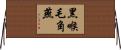 黑喉毛角燕 Horizontal Wall Scroll