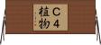 Ｃ４植物 Horizontal Wall Scroll