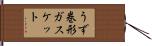 うず巻形ガスケット Hand Scroll