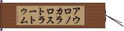 アウロノカラロストラートゥム Hand Scroll