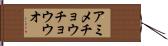 アミメチョウチョウウオ Hand Scroll
