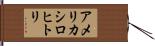 アメリカシロヒトリ Hand Scroll