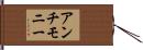 アンチモニー Hand Scroll