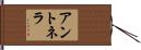 Antonella Hand Scroll