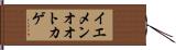 イエメンオオトカゲ Hand Scroll