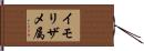 イモリザメ属 Hand Scroll