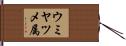 ウミヤツメ属 Hand Scroll