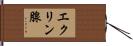 エクリン腺 Hand Scroll