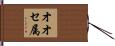 オオセ属 Hand Scroll