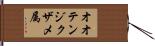 オオテンジクザメ属 Hand Scroll