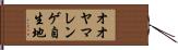 オオヤマレンゲ自生地 Hand Scroll
