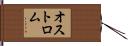Ostrom Hand Scroll
