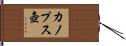 カノプス壺 Hand Scroll