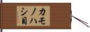 カモノハシ目 Hand Scroll